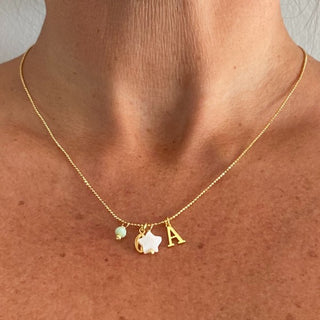 Collar Dijes y Letra