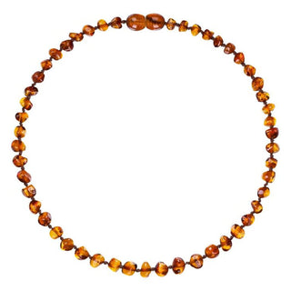 Collar de Ambar báltico Adulto